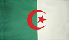 Algeria Flag for Indoor Use