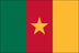 Cameroon Flag for Outdoor Use