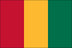 Guinea Flag for Outdoor Use