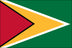 Guyana Flag for Outdoor Use