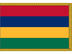 Mauritius Indoor Presentation Flagpole Set - 11' Gold Pole