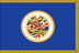 OAS Flag for Indoor Use