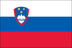 Slovenia Flag for Outdoor Use