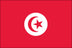 Tunisia Flag for Outdoor Use