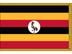 Uganda Indoor Presentation Flagpole Set - 11' Gold Pole